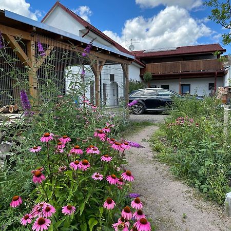 Hotel Frajarka Sedlec  Zewnętrze zdjęcie
