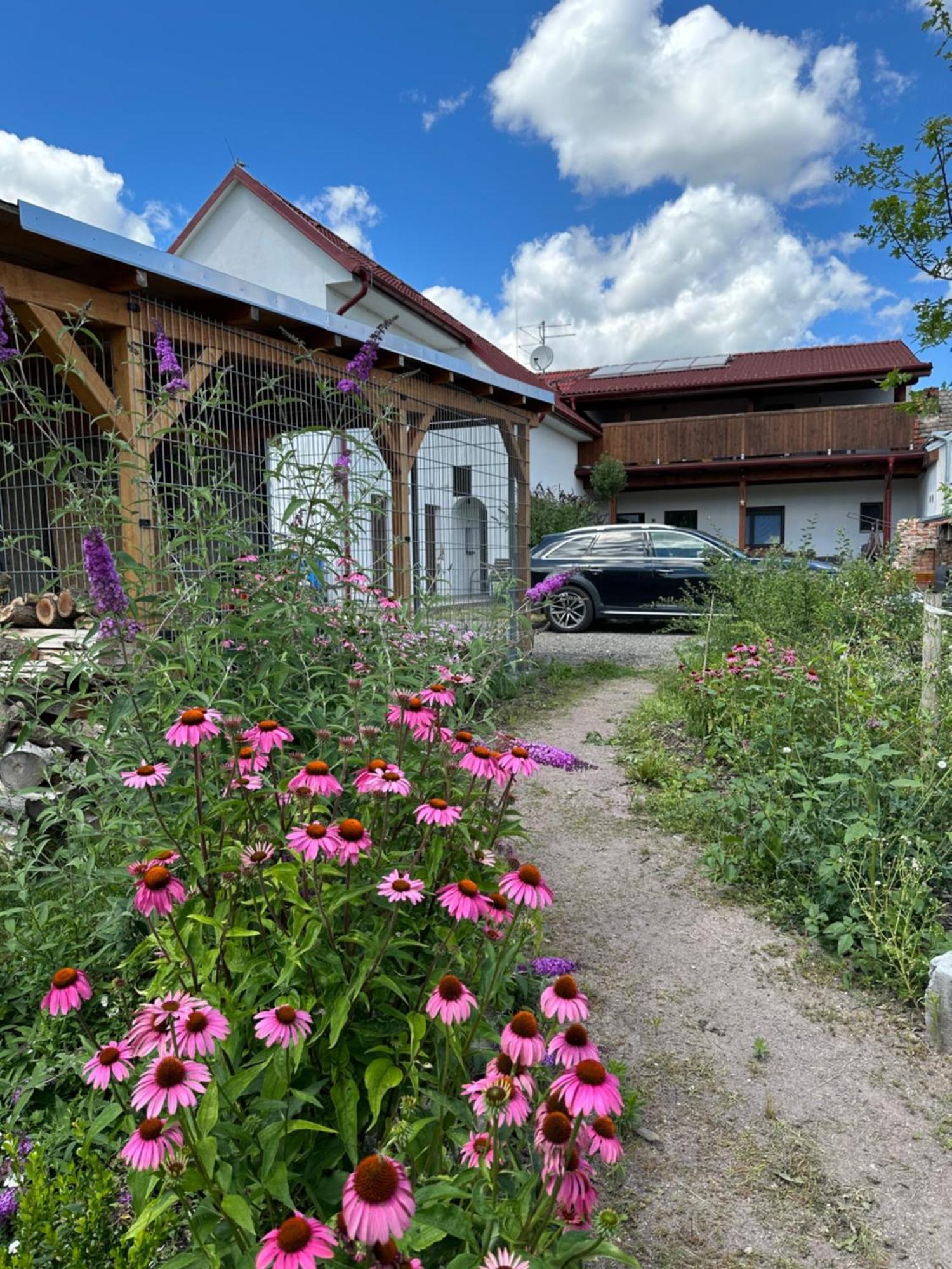 Hotel Frajarka Sedlec  Zewnętrze zdjęcie